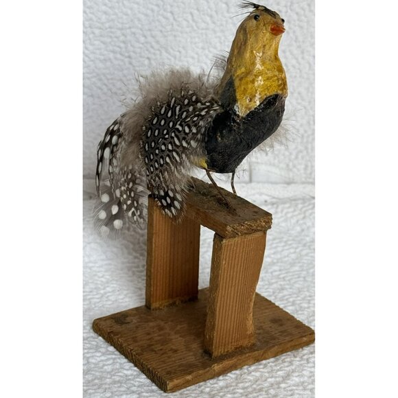 Antique German Made Paper Mache Bird Possibly Sandgrouse Real Feathers Wood Base - Picture 14 of 14